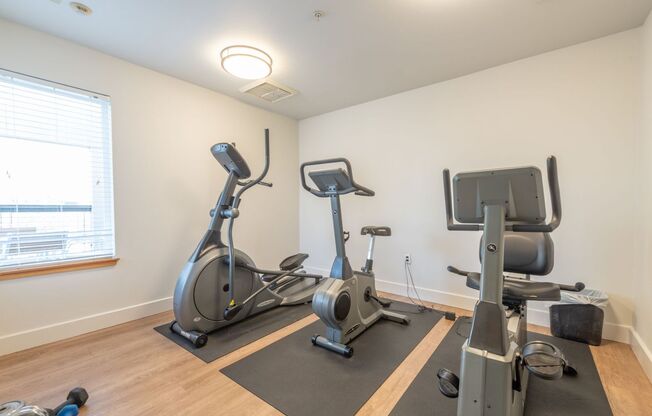 Studio, 1 bath, 540 sqft, $1,375, Unit 202