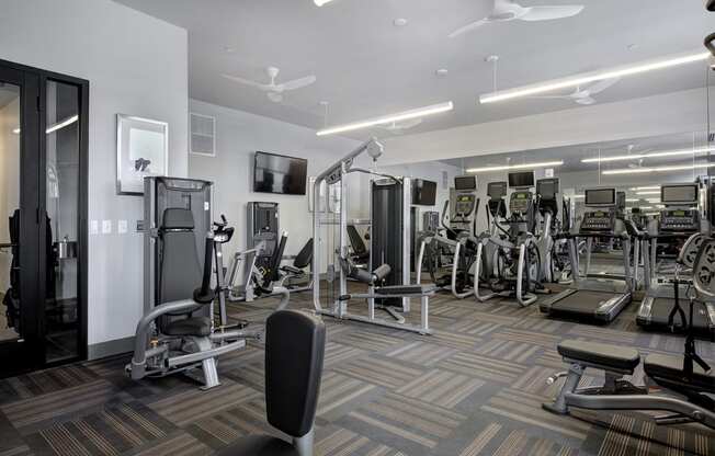 Fitness Center with Cardio and Strength Equipment