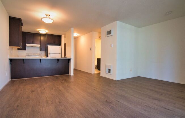 Studio, 1 bath, 475 sqft, $1,875, Unit Unit 303