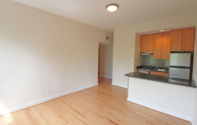 Studio, 1 bath, 407 sqft, $2,000, Unit H603