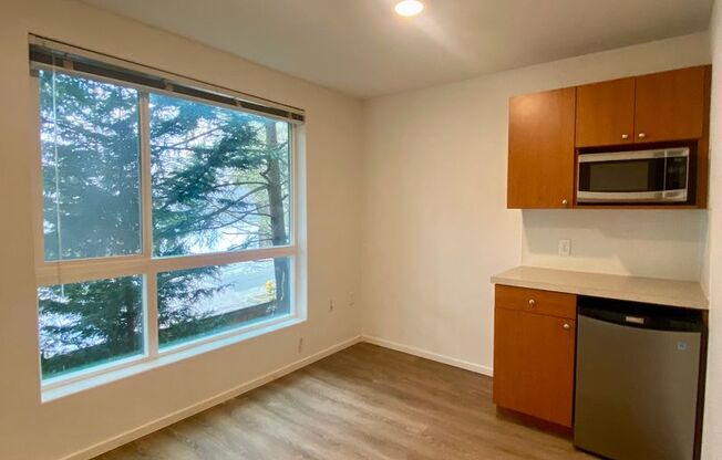 Studio, 1 bath, 189 sqft, $1,325, Unit 4206
