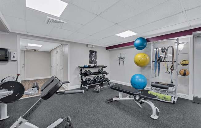 the gym is equipped with a variety of weights and cardio equipment