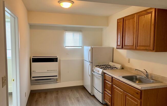 Studio, 1 bath, 300 sqft, $1,595