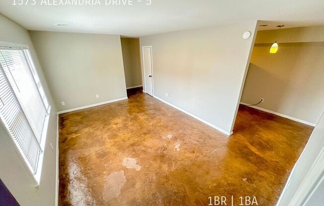 1573 Alexandria Dr