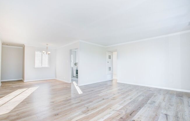 Renovated 2 Bed on Bladensburg Rd. NE!  Apply Today!