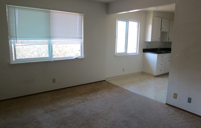 1 bed, 1 bath, $1,875, Unit Apt 07