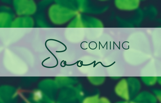 9263 MOONLIGHT NEST LN