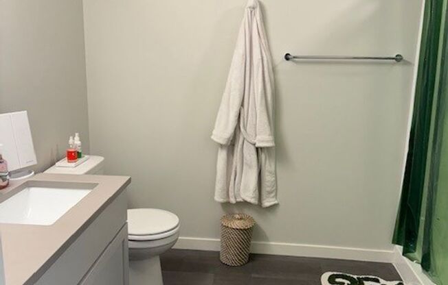 Studio, 1 bath, 452 sqft, $1,250, Unit 309