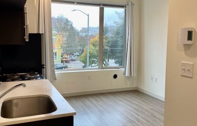 Studio, 1 bath, 257 sqft, $1,245, Unit 203