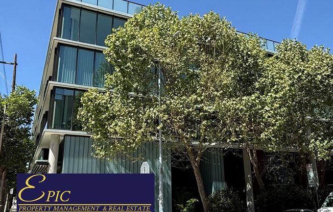 Epic REA: Fantastic Potrero Hill Modern 1 BR, 1 BA Condo