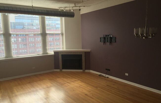 Completely Updated 2 Bed, 2 Bath Printers Row Loft