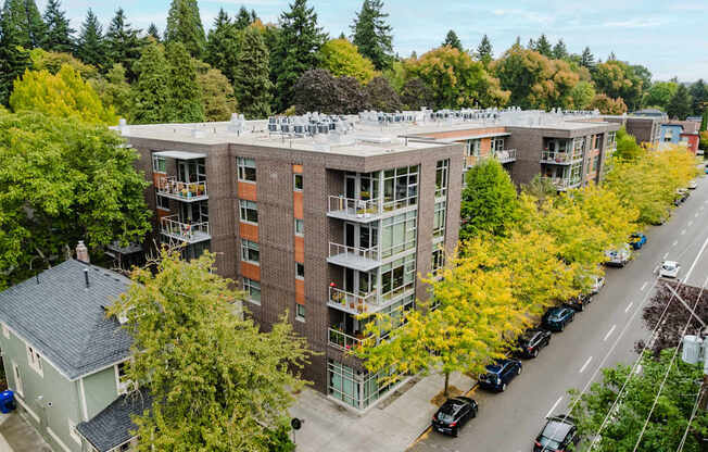 Life in the Belmont District