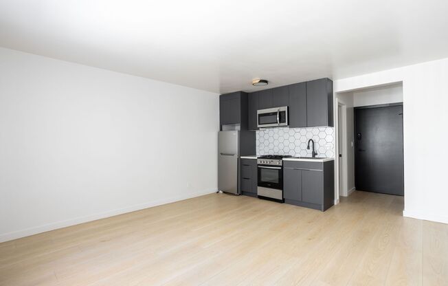 Studio, 1 bath, 263 sqft, $1,449, Unit 204