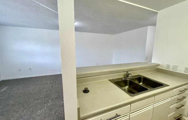 2 beds, 2 baths, $2,400, Unit # 100