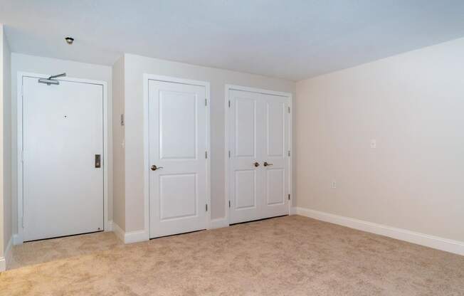 a bedroom with three closets and a carpeted floor