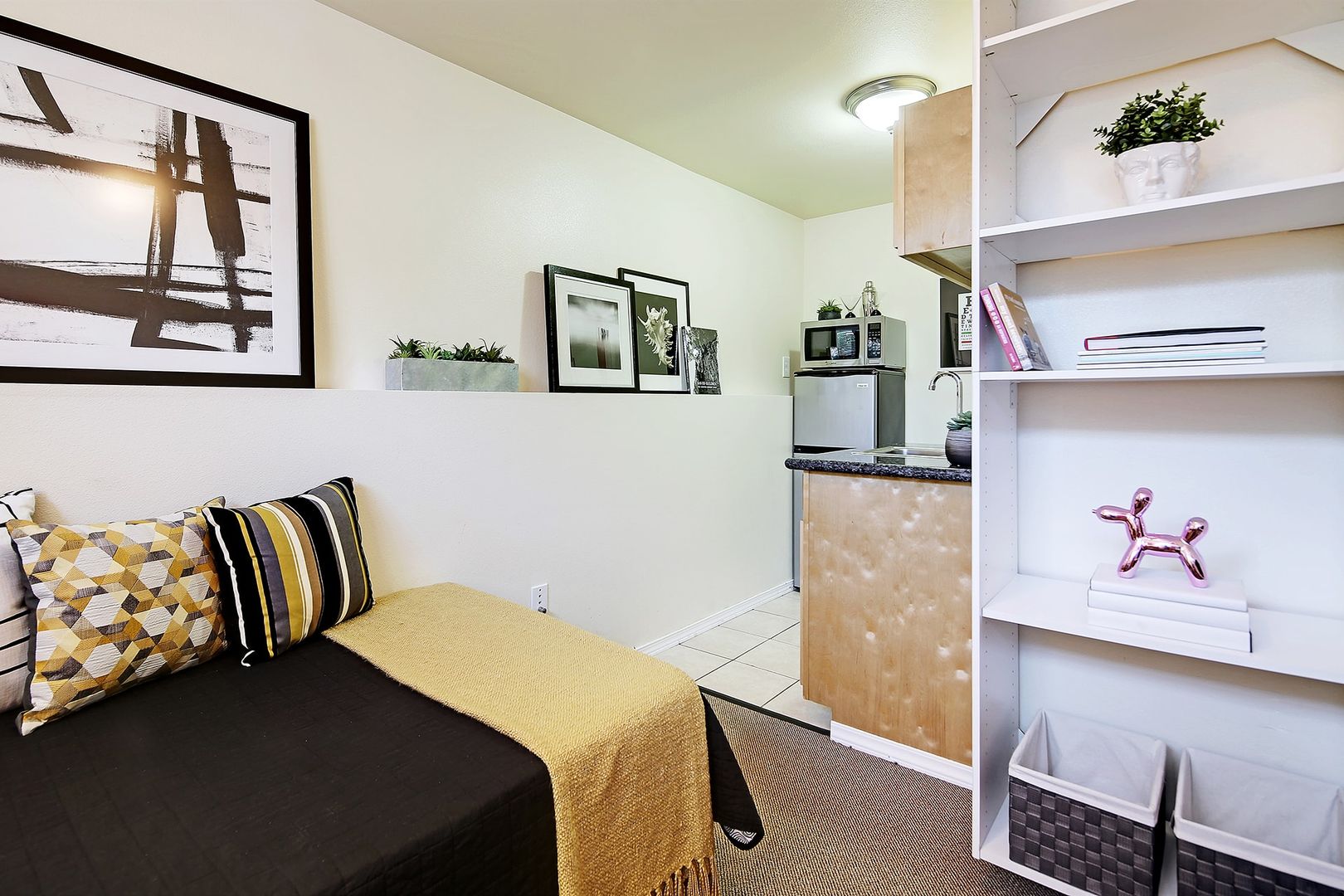 Cozy Apartments Near UW