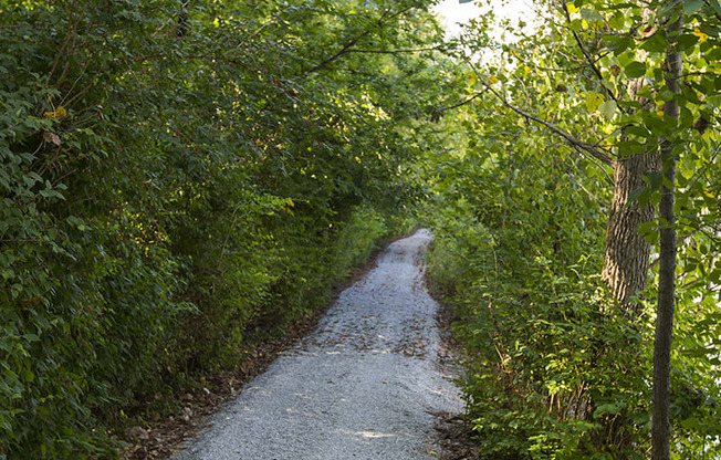 Walking Trails