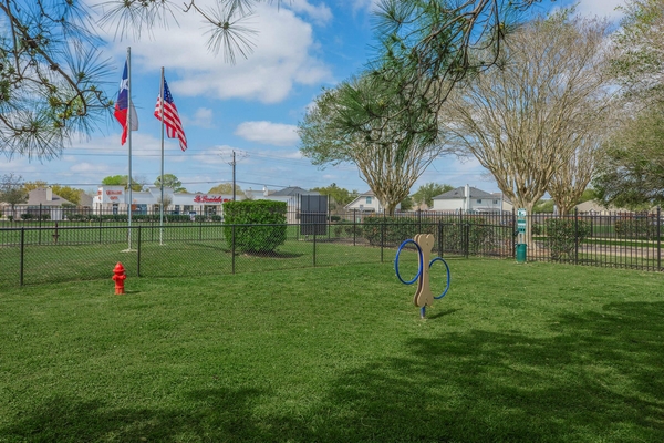 Dog Park