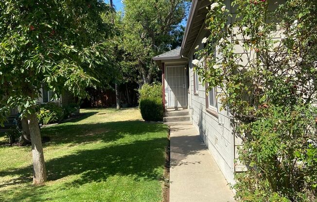 1 bed, 1 bath, $1,750