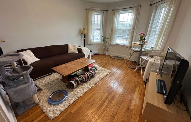 Close to Whole Foods - T Stop - Large Living Room - Natural Sun Light