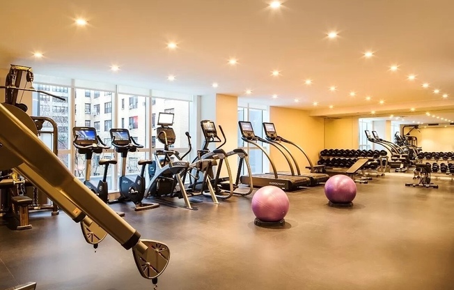 1 bed, 1 bath, $4,400, Unit 14E