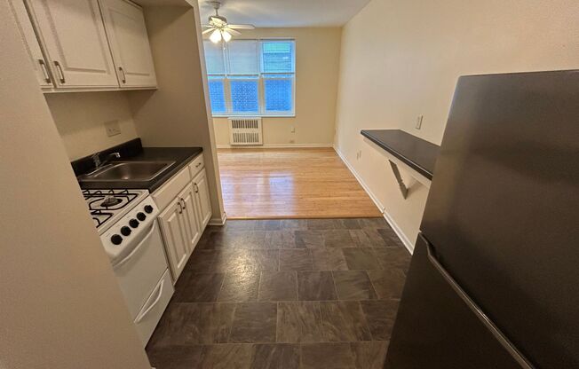 Studio, 1 bath, $825, Unit 111