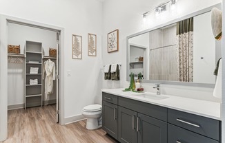 a bathroom with a large mirror and a sink and a toilet