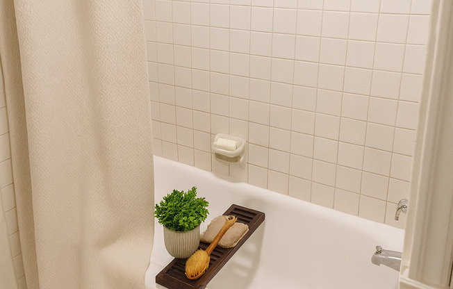 Studio, 1 bath, 445 sqft, $1,600, Unit 309