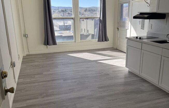 Studio, 1 bath, 200 sqft, $995, Unit 308