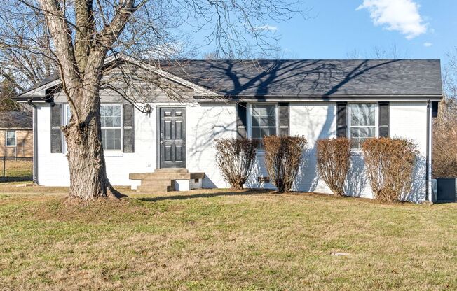 3 Bedroom Dog Friendly Home For Rent!