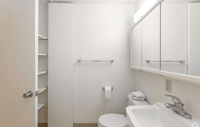 a bathroom with a sink and a toilet and a mirror