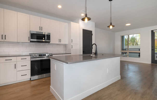 Kitchen and Living Area with Hard Surface Flooring