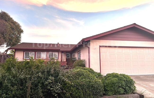 Very nice 4 Bed/2 Bath /1,250 square foot house in Concord available April 1st! Features and amenities include: