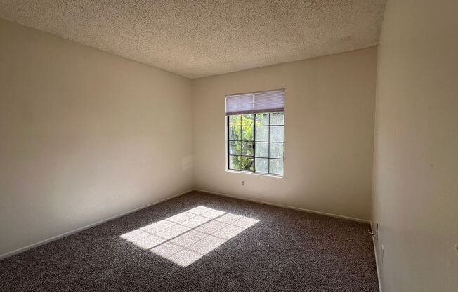 2 beds, 1 bath, $2,595