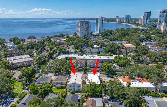 Charming Renovated 1BR/1BA located Steps Away from Bayshore Blvd.