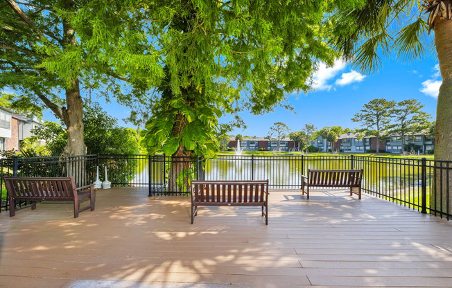 Benches overlooking the lake