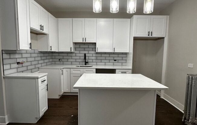 Large Renewly Renovated 3-Bed 1-Bath In The Heart of Logan Square