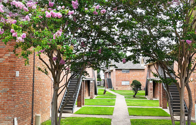 A tree with pink flowers is in the foreground of a pathway between two buildings.