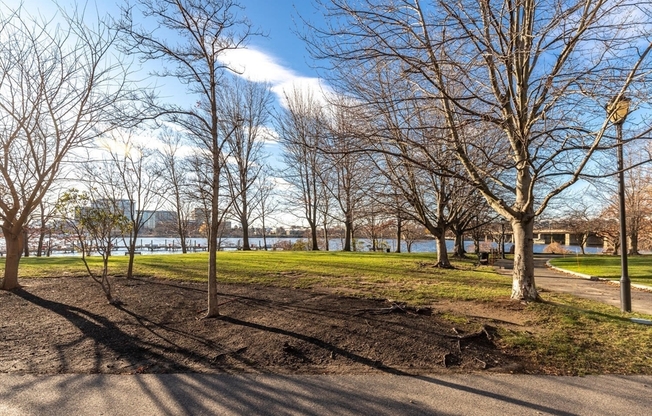 2 beds, 2 baths, 1,235 sqft, $3,850, Unit 501