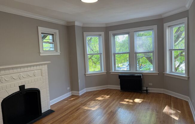 Albany Park Apartments!