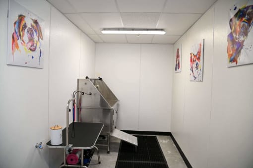 Pet Wash Station with art at SevenO2 Main Apartments, Salt Lake City, 84101