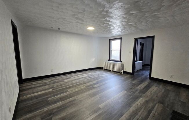 Fully Updated 3 bedroom 1 bath house for rent in the South Side Flats