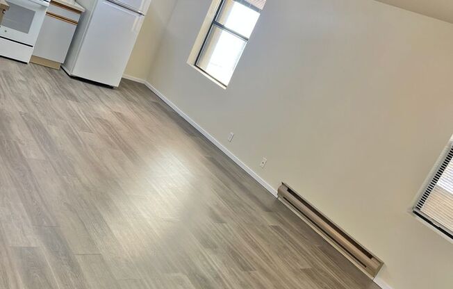 Studio, 1 bath, 413 sqft, $1,295, Unit 212