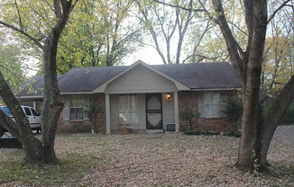 Newly Renovated 3 bed 1.5 bath in Horn Lake, MS