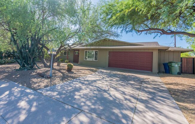 Gorgeous Tempe Home with Saltillo Tile and Resort-Style Backyard