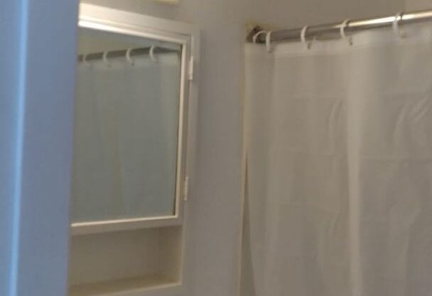 1 bed, 1 bath, 230 sqft, $675, Unit 208