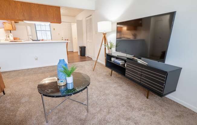 Classic Living Room Design With Television at Sandstone Court Apartments, Greenwood, IN