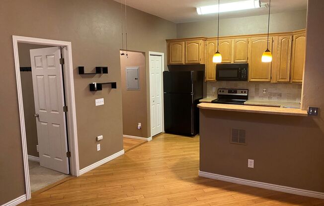 1 bed, 1 bath, $1,250