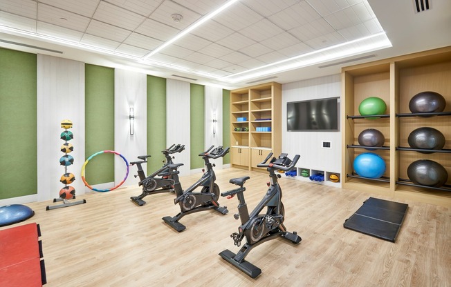 Brand New Yoga/Workout Studio With Fitness On Demand, Free Weights, Spin Bikes & More
