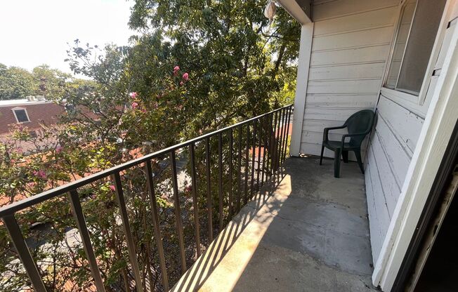 1 bed, 1 bath, 500 sqft, $1,225, Unit 303